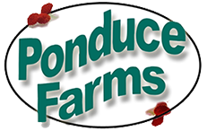 Ponduce Farms